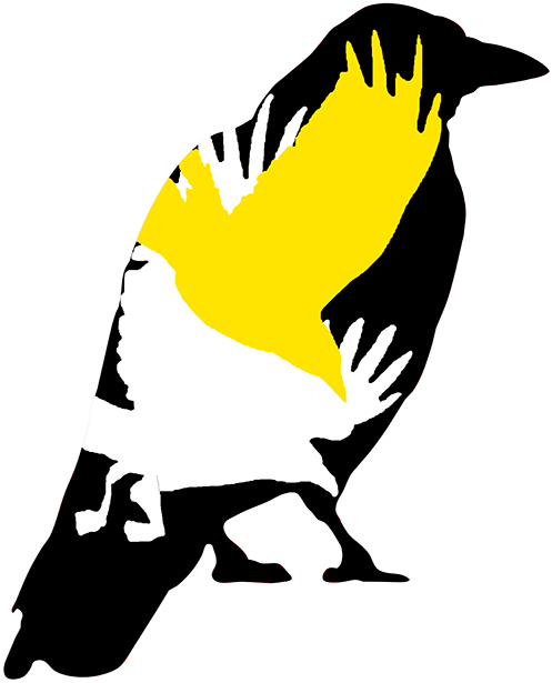 black crow 01