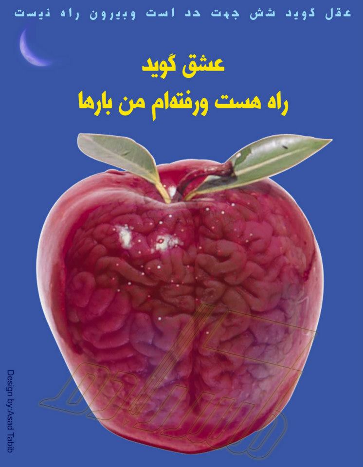 brain apple love 01
