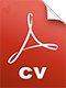 cv icon